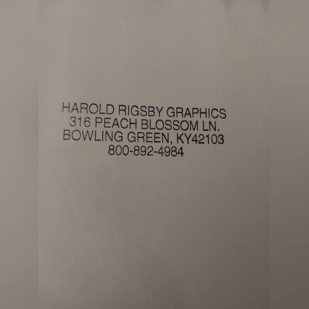 Bald Eagle print - Picture 12 of 15